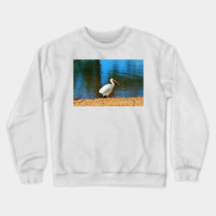 White Ibis Crewneck Sweatshirt